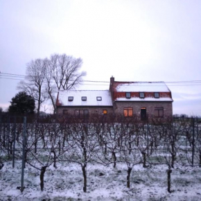 Vakantiewoning Firmament - Rust en ruimte in Heuvelland -